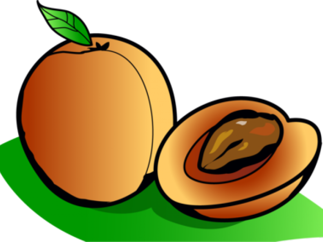 Apricots Cliparts - Cartoon Pictures Of Apricot (640x480)