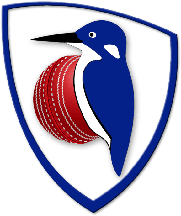 Cricket Clipart Cricket Coach - Cricket (640x700)