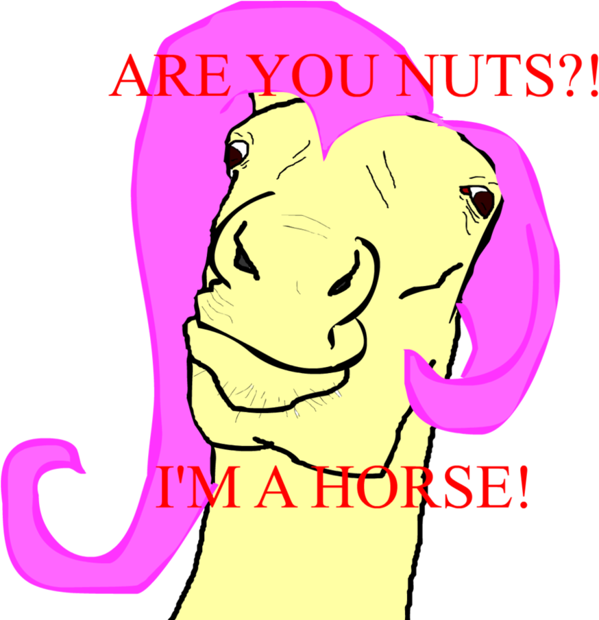 Are You Nuts I'm A Horse By Abo-3meer - Expertise (885x903)