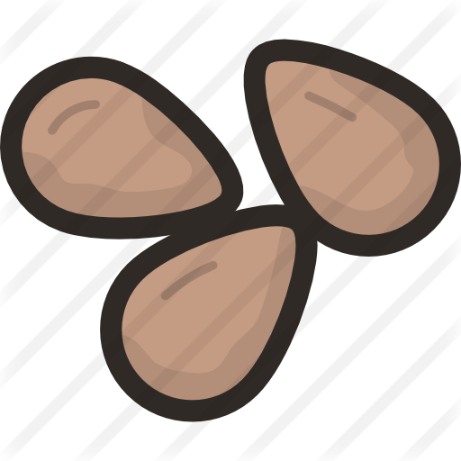 Nuts - Nut (512x512)