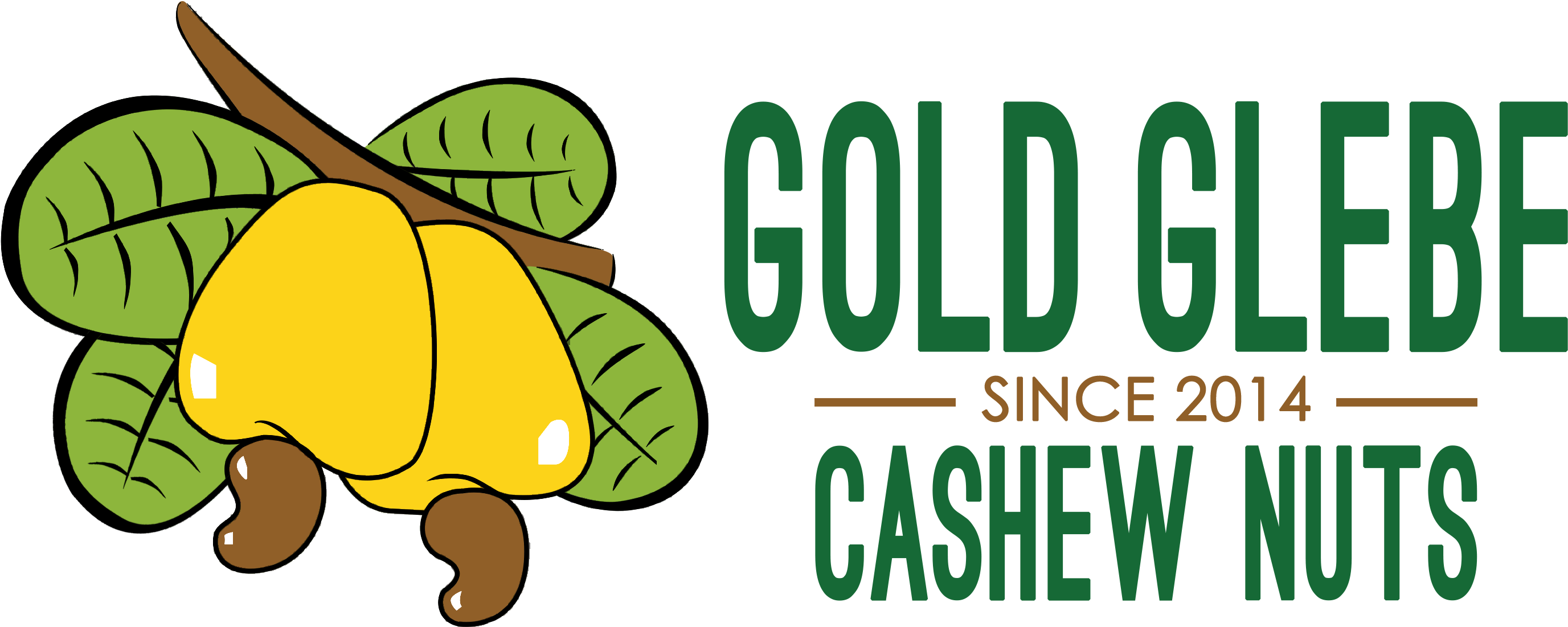 Gold Glebe Raw Cashew - Paul Mccartney Looking For Changes (2953x1219)