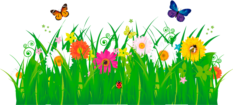Green Clip Art Grass (800x800)