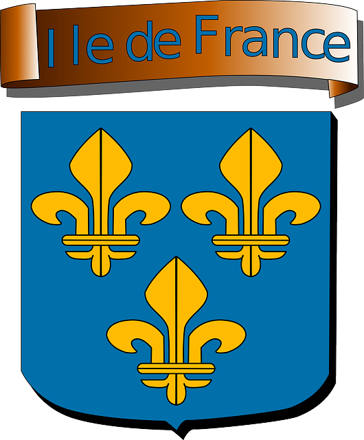 France, Flag, Sign, French, Europe, Signs, Symbols - Alpes De Haute Provence (530x640)