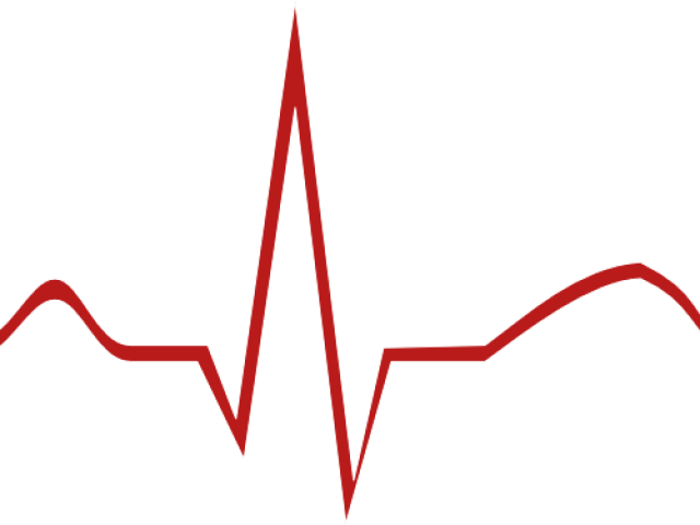 Ekg Cliparts - Diagram (640x480)