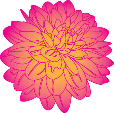 Fun And Fancy - Common Zinnia (398x395)
