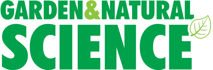 Picture - River A Boca (759x300)