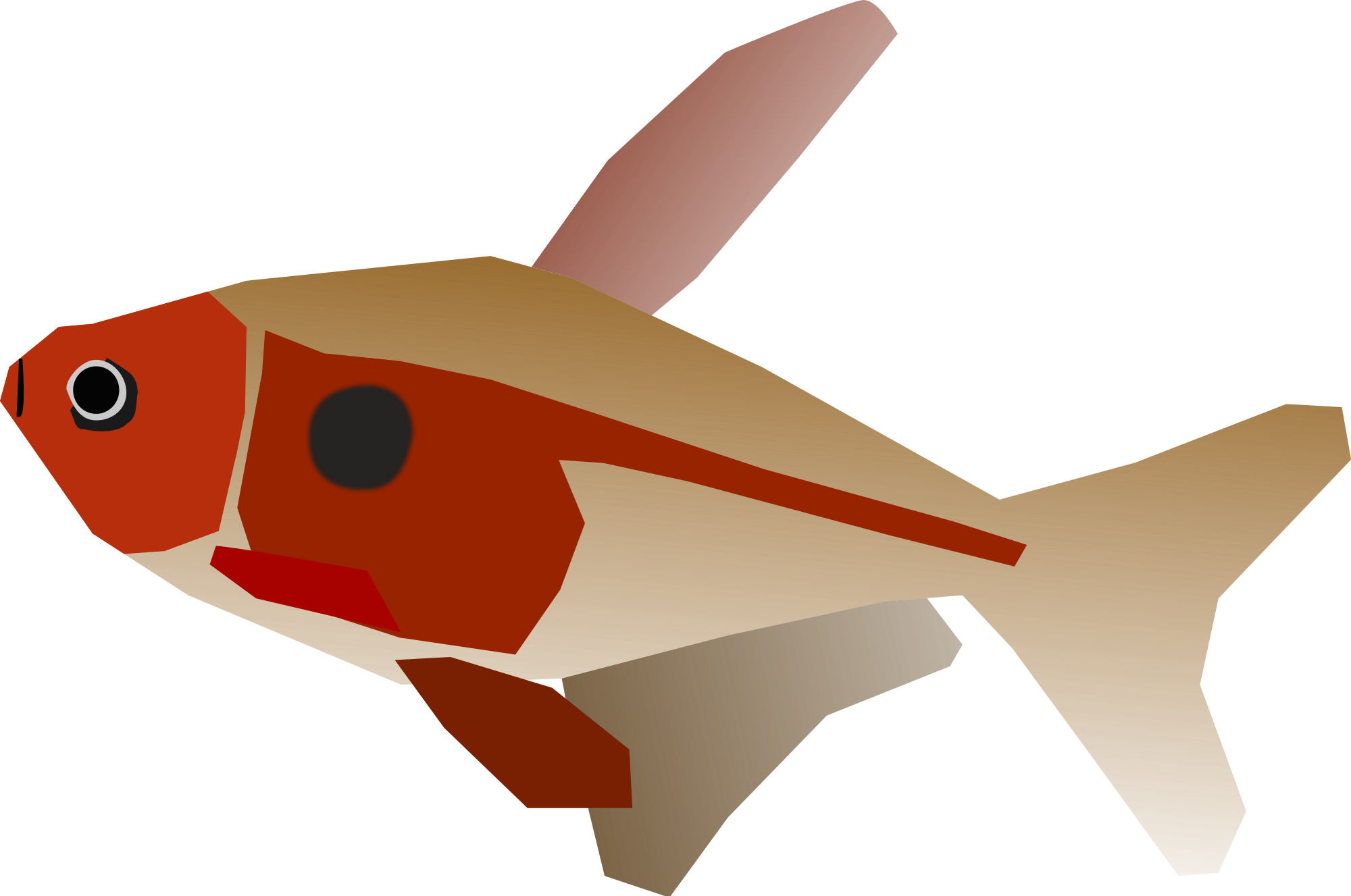 Open - Goldfish (2000x1327)