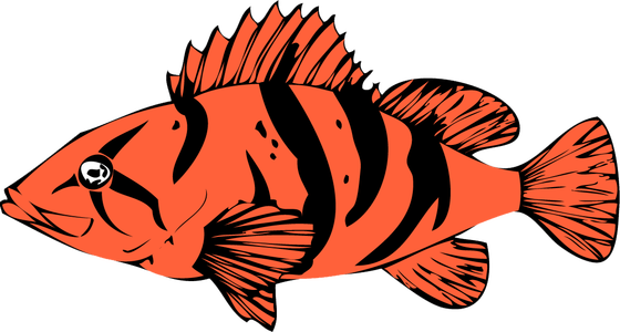 Marine Fish Clipart Rockfish - Saturna Island (1134x607)