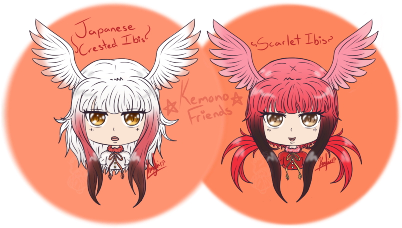 Ibis Girls Chibi Digital Headshot - Chibi (900x480)