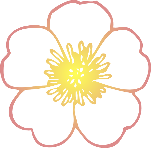 Hand-drawn Flowers Of Dahlia - Flower Clip Art Free (600x589)