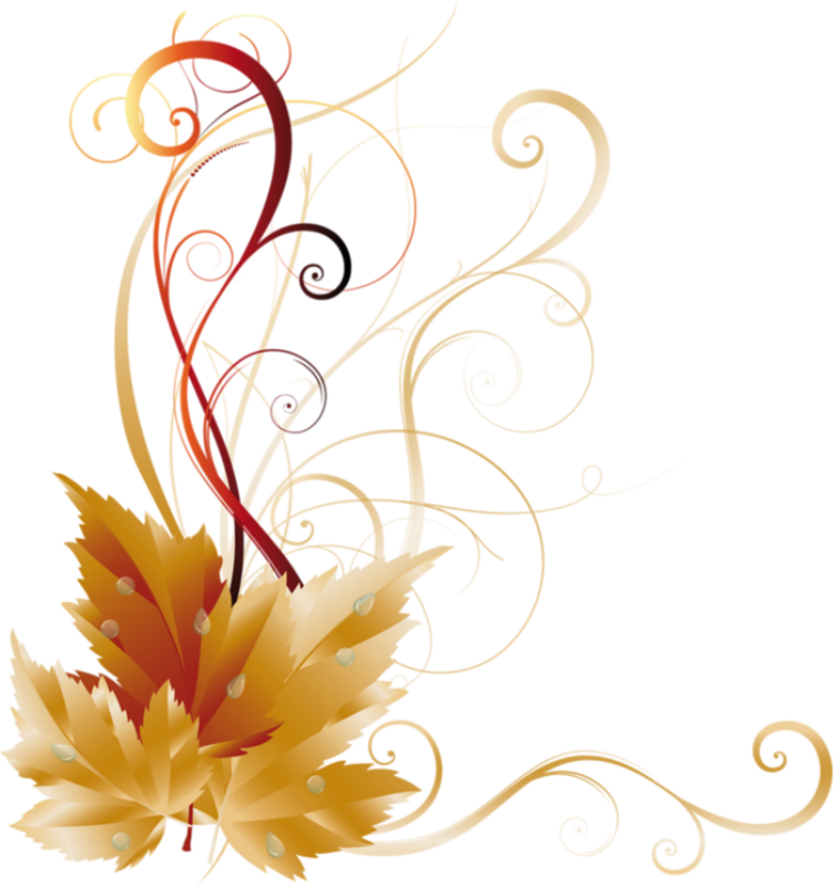 Picture Borders, Fall Images, Scrapbook Borders, Thanksgiving - Side Border Design Png (751x800)