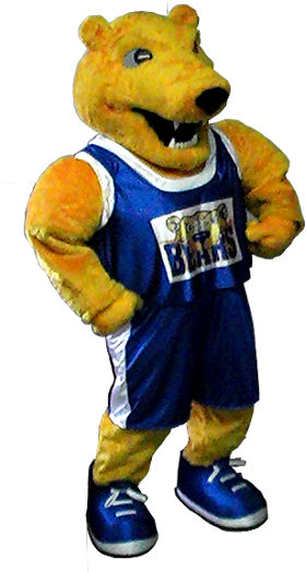 He's The Mascot Costume We Made For St - St Joseph's College Mascot (300x523)