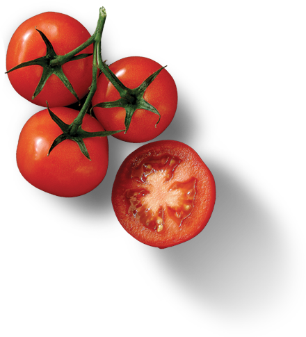Why We Need Organic Food - Restaurant (440x485)