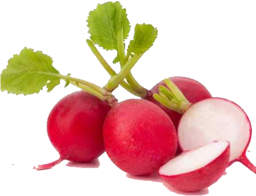 Leaf Vegetable Garden Radish Organic Food - Red Radishes (500x500)