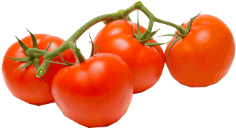 Vine - Hanging Tomato Planter - Grow Your Own Tomatoes (427x320)