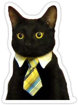 Hacia Tiempo Que No Escribía En Este Blog Y Esta Vez - Business Cat (375x360)