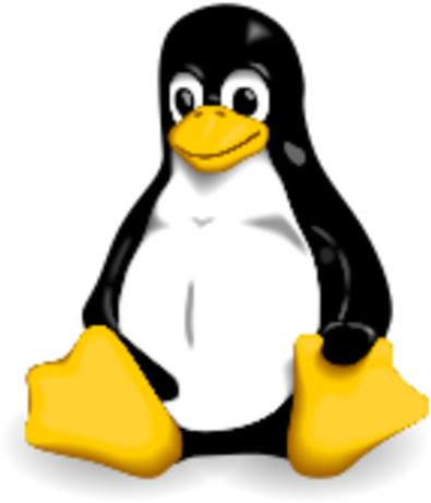 O Núcleo Linux Foi Desenvolvido Pelo Programador Finlandês - Linux Logo Png (414x480)