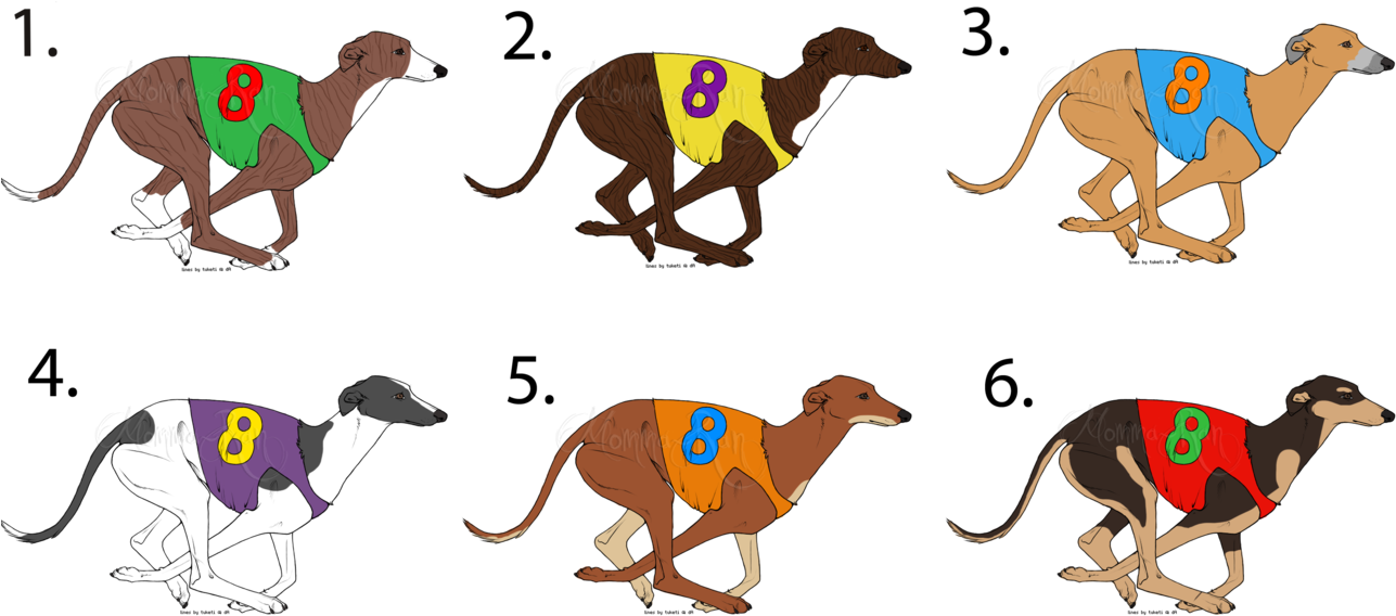 Greyhound Adoptables - Greyhound (1310x609)