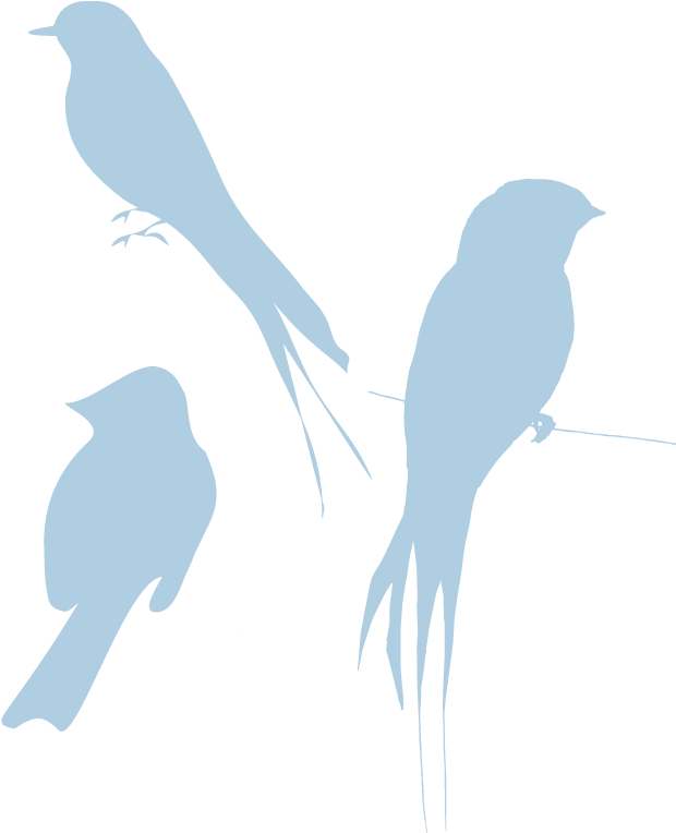 Image Blue Silhouette Birds Look Rh Animal Jam Clans - Graphic Design (784x826)