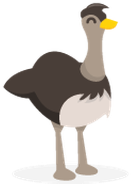 Cute Cartoon Australian Animals Icon Set - Cute Australian Animals Drawing (394x398)