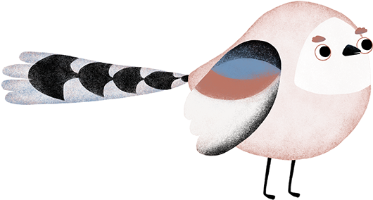 Pikkuli, Byrd Family, Honkkeli And Woodpecker Characters - Cartoon (600x338)