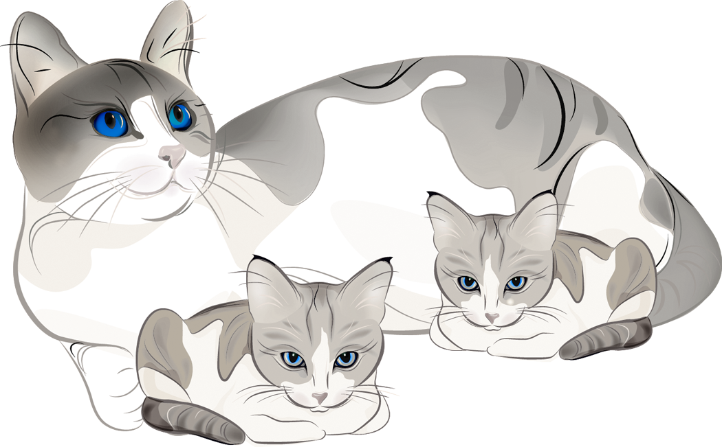 Jungle Animal Clipart / Safari Animal Clipart / Safari - Cat And Kitten Clipart (1050x651)