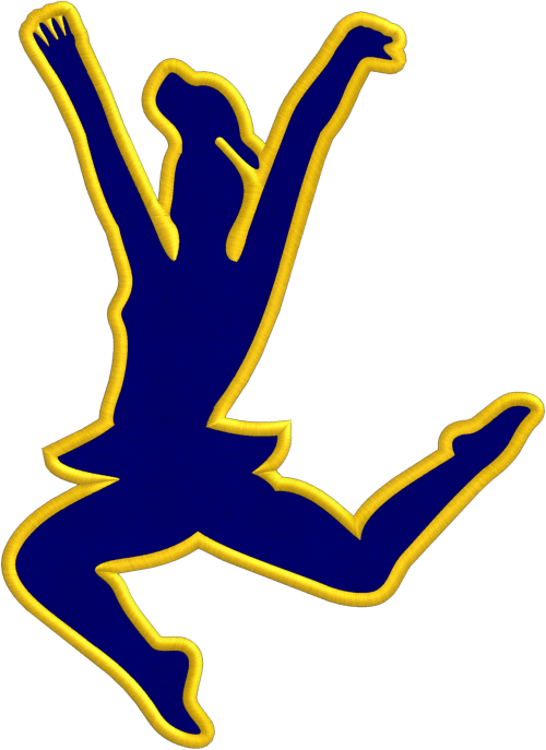 Embroidery / Digitizing For Your Convenience, We Provide - Embroidery (500x687)