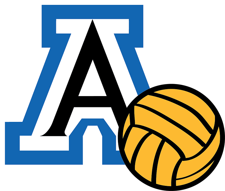 University Of Arizona Logo (784x666)