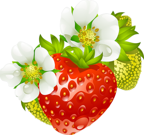 Fraisier - Strawberry Png - Erdbeere - Fresa - Cafepress Strawberry Fruit & Flowers Full/queen (500x470)