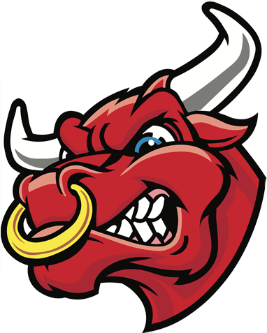 Vector Art - Angry Bull Logo Png (570x484)