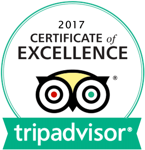 Tripadvisor - Certificate Of Excellence Tripadvisor (520x495)