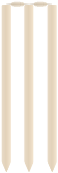 Cricket Clipart Stumps - Cricket (500x500)
