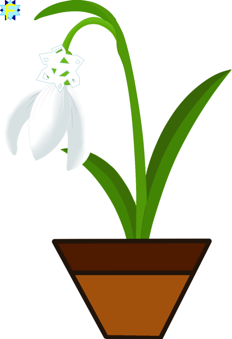 Snowdrops First Snowflake On A Snowdrop - Art (739x1080)