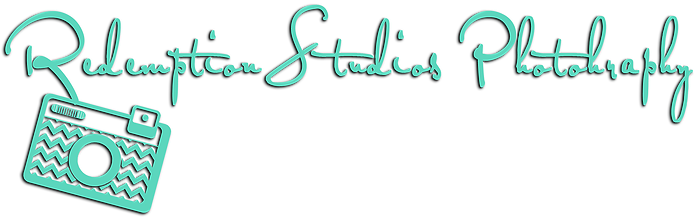 Photography Business Logo - Calligraphy (784x560)