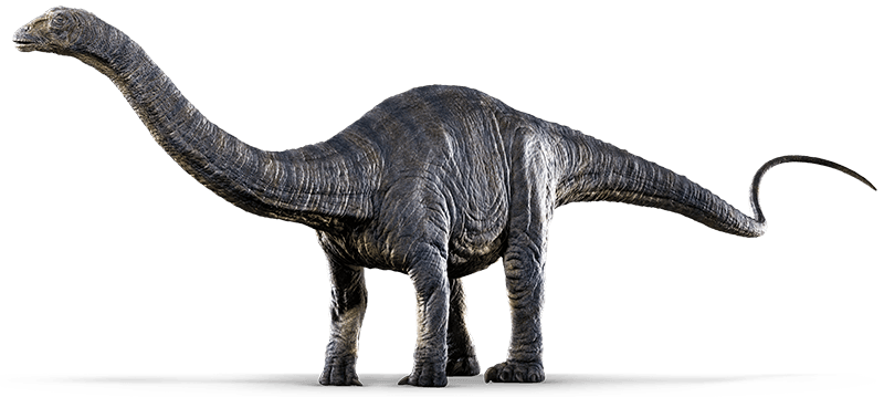 Jurassic World Clipart Apatosaurus - Jurassic World Apatosaurus (800x359)