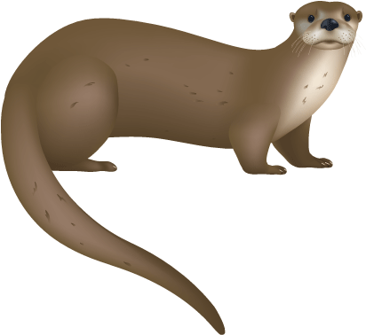 River Otter The Whale Trail - Otter (418x382)