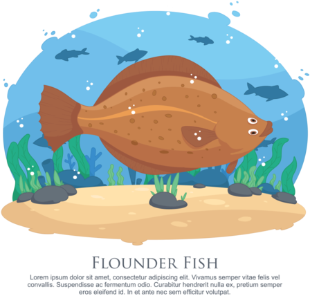 Flounder Fish Vector Illustration - Vector Graphics (700x490)