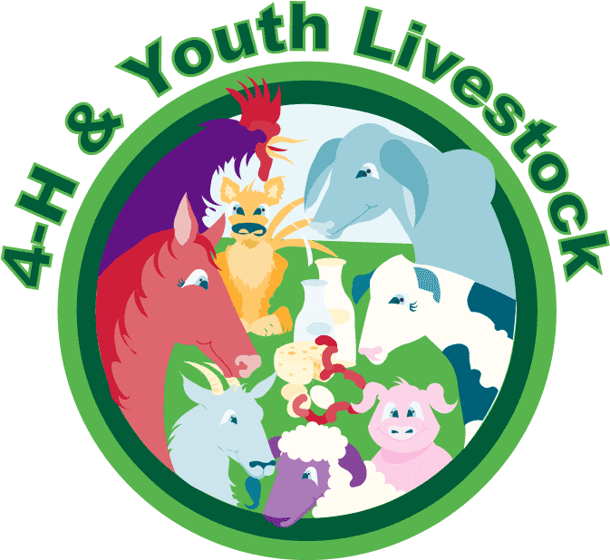 4 H Youth Livestock Program Updates Clover Gazette - Livestock 4 H (723x723)