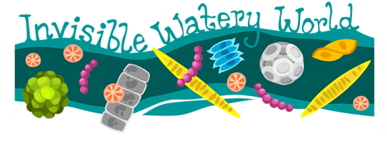 Invisible Watery World Subheader - Phytoplankton Colors (550x242)