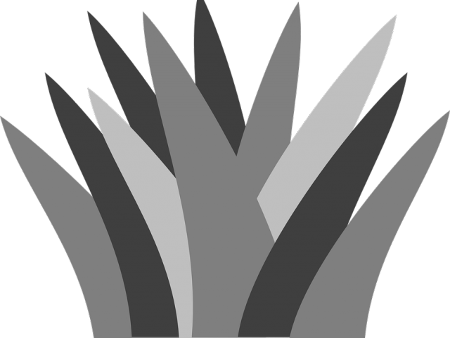 Grass Clipart Bunch - Illustration (640x480)