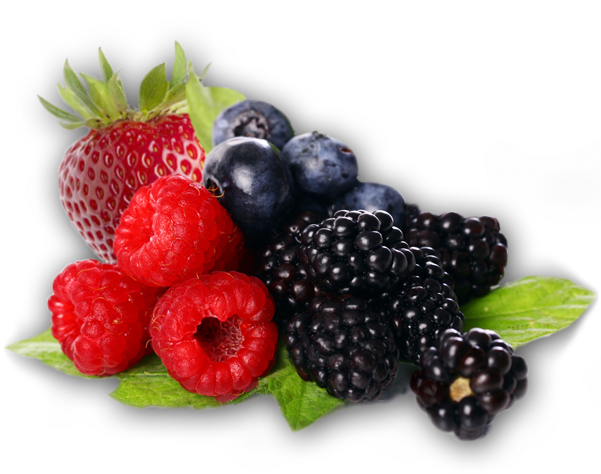 Berries Cliparts - Berries Png (600x600)