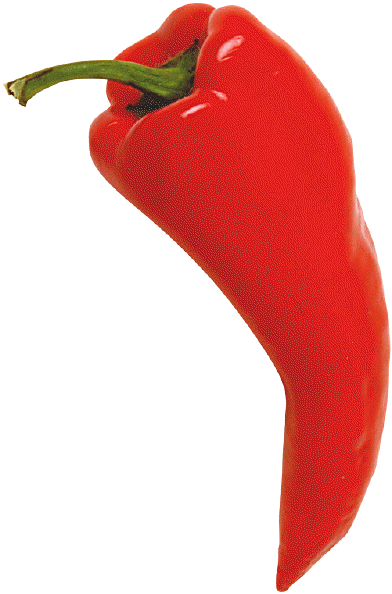 Chili Pepper Red - Chili Pepper Red (392x594)