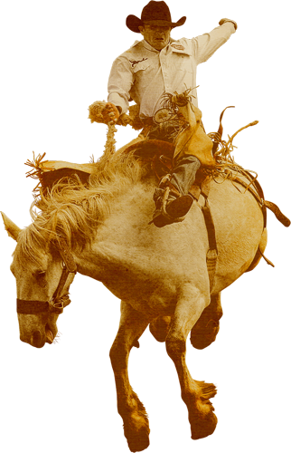 Free Rodeo Clipart Signspecialist Com General Decals - Cowboy With Horse Png (322x500)