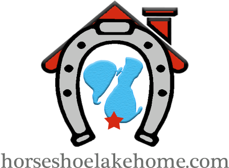 Horseshoe Lake Home Mn - Horseshoe Lake Home Mn (777x512)