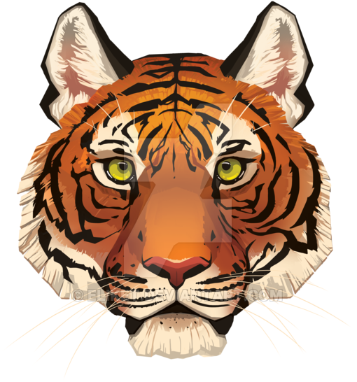 Tiger Face By Eliket On Deviantart - Tiger Face By Eliket On Deviantart (600x600)