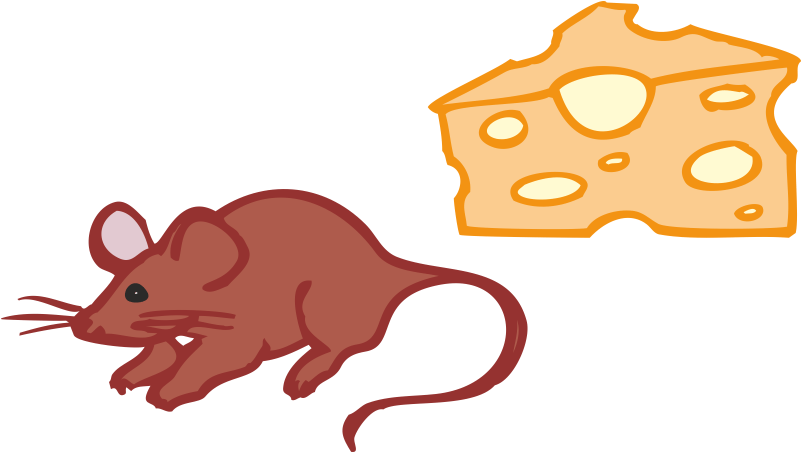Mouse Rat Gerbil Clip Art - Mouse Rat Gerbil Clip Art (800x800)