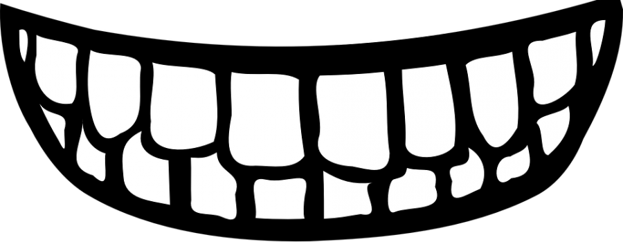 Het Gebit Deze Les Gaat Over Het Gebit - Teeth Clip Art (900x353)