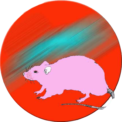 Ep12circle - Essay (429x429)