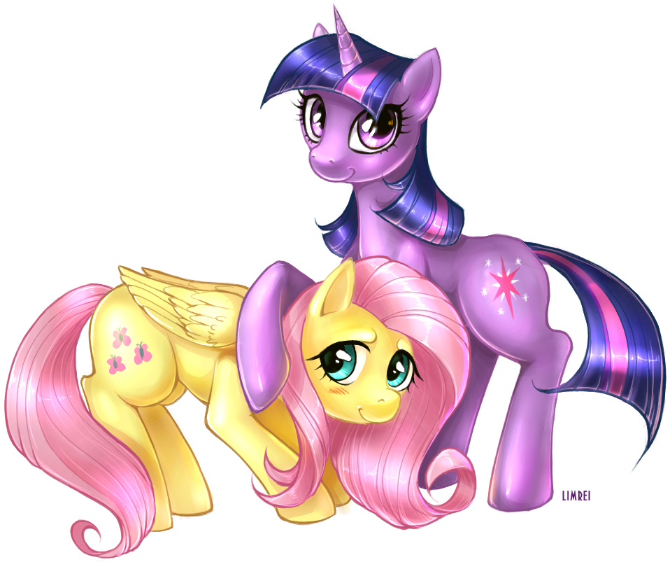 麦 Limre Pony Fluttershy Twilight Sparkle Derpy Hooves - Флаттершай И Твайлайт (1011x908)
