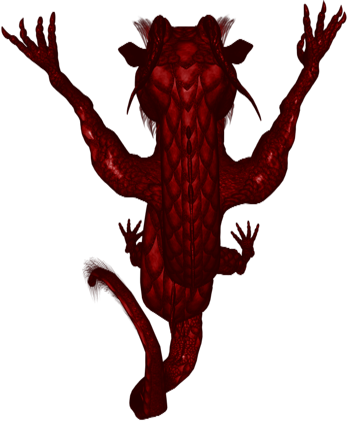 Dundjinni Mapping Software - Illustration (716x867)